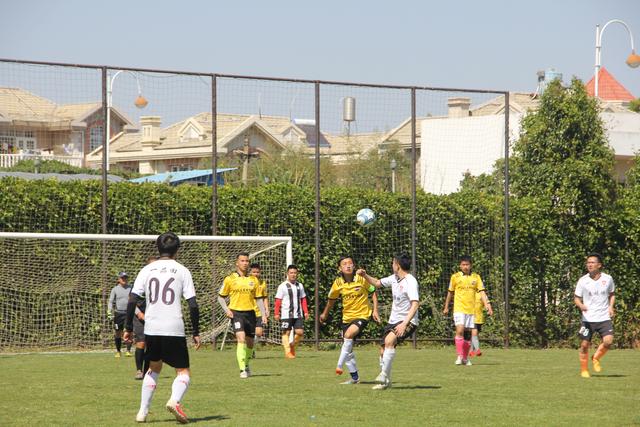 周琦伤退徐杰24分王哲林25+6 上海险胜广东